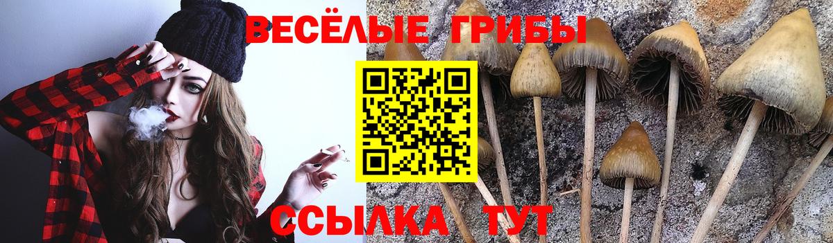 Галлюциногенные грибы GOLDEN TEACHER  Вход с VPN  Мурманск 